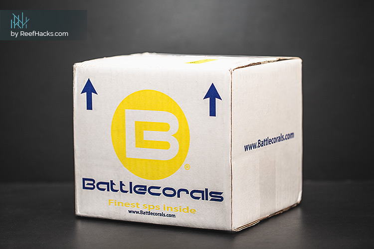 BattleCorals Box Review